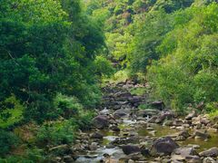 -广州白江湖森林公园