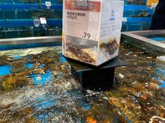 -盒马鲜生(领丰汇店)