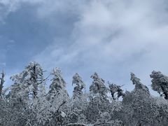 -瓦屋山景区