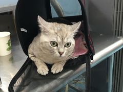 -北京赛佳动物医院