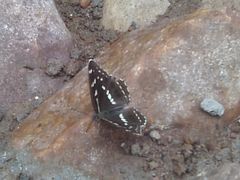 景点-龙潭大峡谷