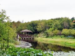 -同里国家湿地公园