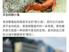 -凯悦·东方公主号 全球海鲜自助餐厅(凯丹广场店)