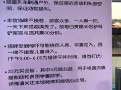 -猫咪博物馆(顶澳仔猫街店)