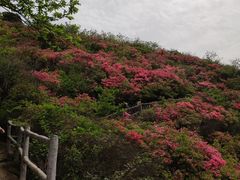 -木兰云雾山