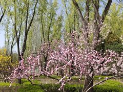 -森林公园(尖草坪区)