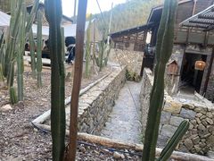 -MOJ coffee(瓯海泽雅水碓坑店)