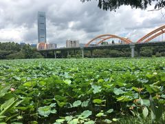 -肥妹烧腊店(洪湖店)