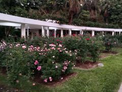 -人民公园(罗湖区)