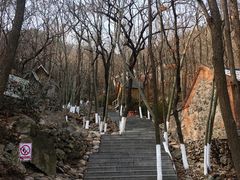 -石老人观光园