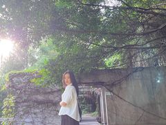 -燕晗山郊野公园