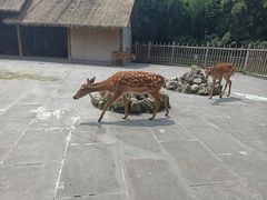 -金沙遗址博物馆