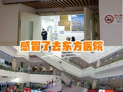 -上海市东方医院(总院)