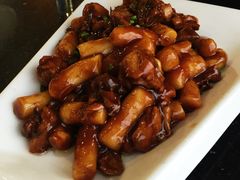 -云中小雅
