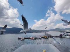 -海埂大坝