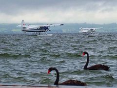 -怀托摩萤火虫洞