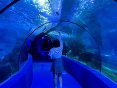 -左海海底世界