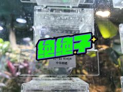 -上海大自然野生昆虫馆(东方明珠·爬宠昆虫探索中心)