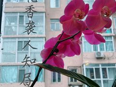 -懒人盐府人家(航天桥店)