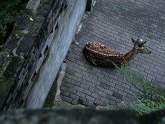 -台州府城(江南长城)