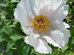 -上海松江假日酒店