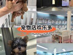 -萌宠之家·腊肠犬·马尔泰·小体犬舍