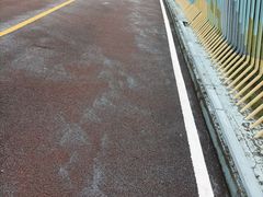 -白鹭湾湿地公园