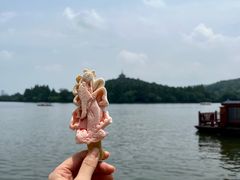 -西湖游船
