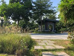 -清湖文化公园