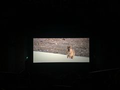 -博纳国际影城IMAX(中央大道店)