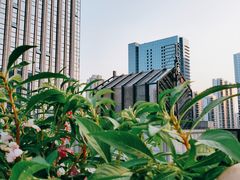 -瓦库茶馆17号(海汇港店)