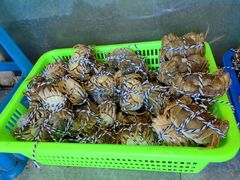 -阳澄湖半岛旅游度假区