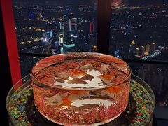 -上海环球金融中心云端足球盛典
