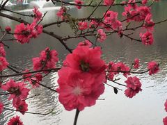 -重庆彩云湖湿地公园