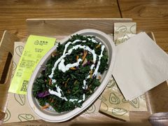 -油梨树 AVOCADO TREE(亮马桥店)