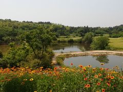 -南京市无想山景区