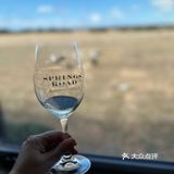带了一瓶Cabernet Sauvignon