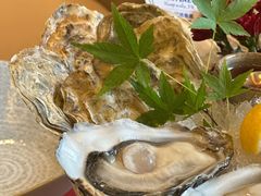 -普朗姆生蚝牛排馆 The Plump Oyster(成都摩方购物中心店)