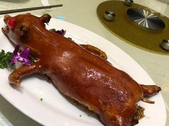 乳猪饭-东国海鲜火锅城(氹仔店)