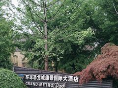 -常州环球恐龙城维景国际大酒店
