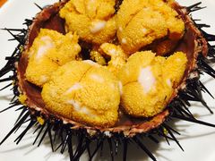 生吃海胆-海味当家·蒸锅海鲜(中山广场创始店)