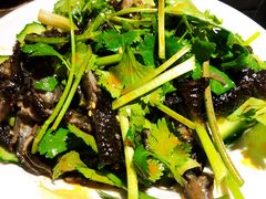 无骨乌鸡凤爪-鸣牌鸡煲(大岭山店)