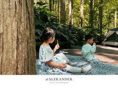 -黄海国家森林公园