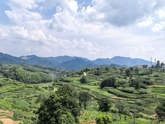 -乌石村