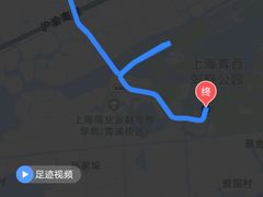 -大莲湖农家乐(青西郊野公园店)