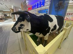 -红星前进面包牛奶公司(君太店)