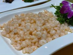 茨实溜虾仁-大鸿运酒店·苏州菜·松鼠桂鱼(观前街店)