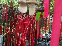 -呀诺达热带雨林