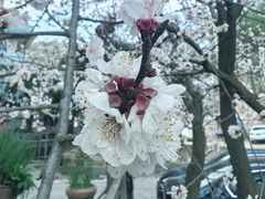 -德胜岩景区