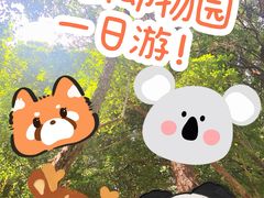 -红山森林动物园